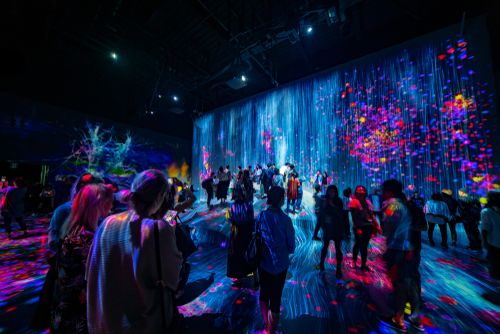 5 Examples of Digital Signage for Events